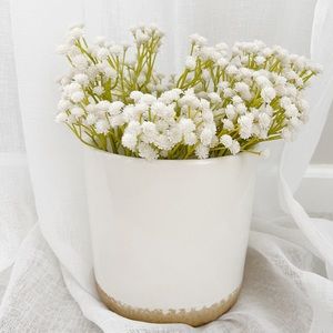 White ceramic pot/planter